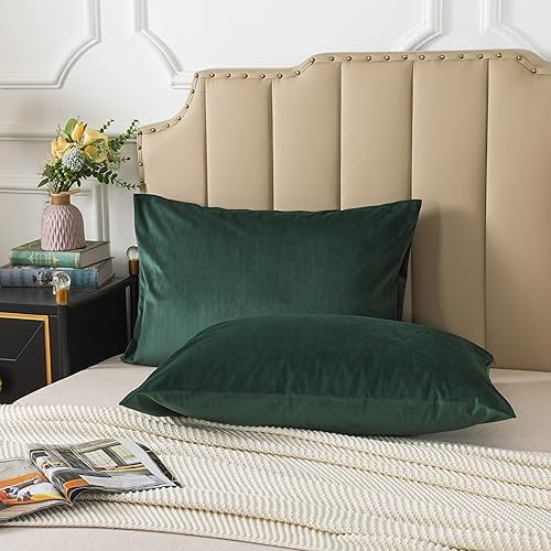 H HOUSEHOLD Set of 2 Velvet Queen Size Pillowcase, Soft and Cozy Luxury Fuzzy - Image 4