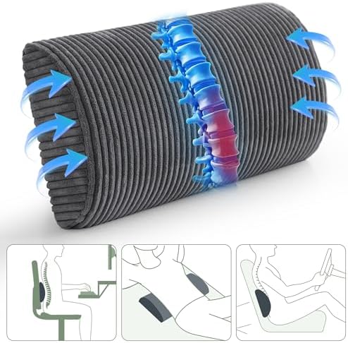 HIGOGOGO Lumbar Support Pillow for Recliner Chair/Accent Chair/Couch, Memory - Image 2