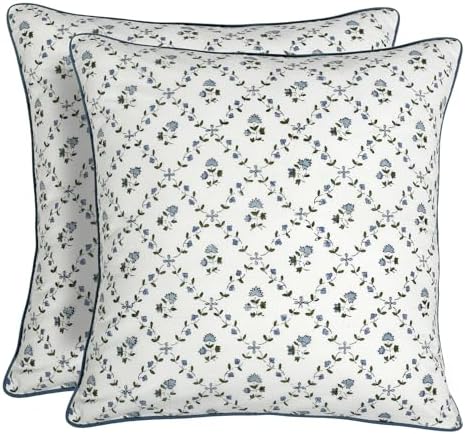 Ridhi Block Print Powder Blue Pillow Cover 24" x 24" Decorative Couch Pillows by Ridhi