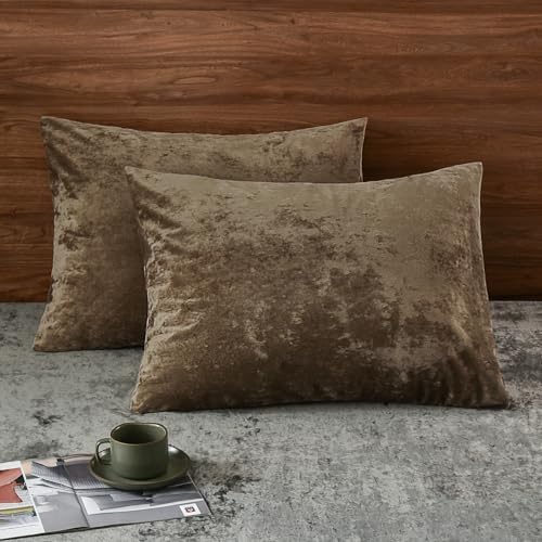 PHF Truly Velvet Pillowcases Standard Size 20" x 26", No Insert by PHF