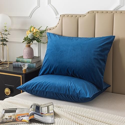 H HOUSEHOLD Set of 2 Velvet King Size Pillowcase, Soft and Cozy Luxury Fuzzy - Image 2