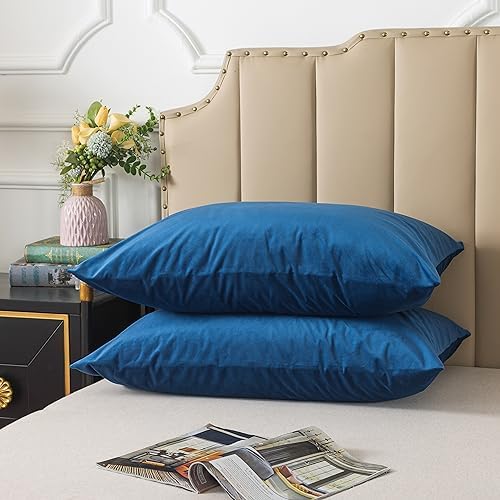 H HOUSEHOLD Set of 2 Velvet King Size Pillowcase, Soft and Cozy Luxury Fuzzy by HHOUSEHOLD