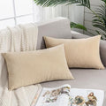 GAWAMAY Beige Chenille Throw Pillow Covers 12x20 Set of 2 by GAWAMAY
