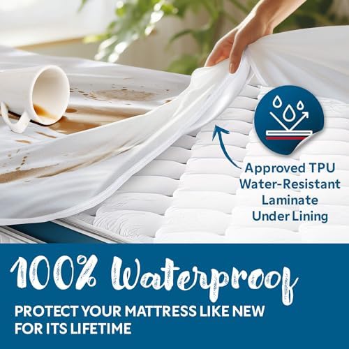 Guardmax Queen Mattress Protector Zippered, Bed Bug Mattress Cover - Image 5