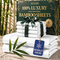 DECOLURE 100% Viscose Derived from Bamboo Sheets Queen Size by DECOLURE