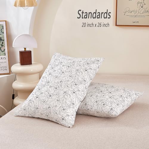 ECOCOTT 2 Pack Pillowcase Standard Size - Image 3