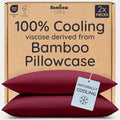 Bambaw 100% Viscose Derived from Bamboo Pillow Cases Queen Size Set of 2 by Bambaw