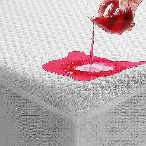 TASTELIFE Mattress Protector Queen Size Bed, Bamboo Viscose, 60x80 inches by Tastelife
