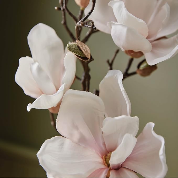 Thymes Moisturizing Hand Lotion - Image 2