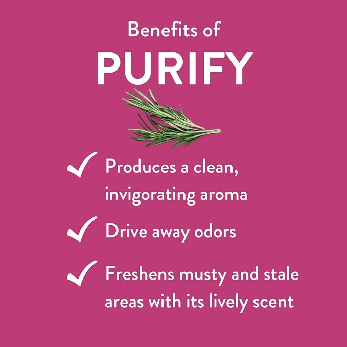 Purify Essential Oil Blend by Revive Essential Oils - Image 3