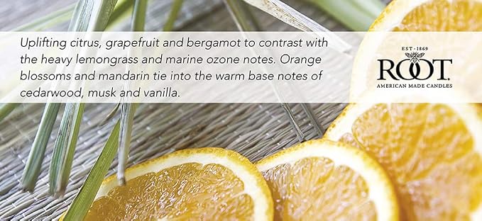 Root Candles Scented Candles Honeycomb Beeswax Blend Premium Handcrafted Candle - Image 3