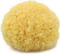 Neptune Caribbean Sea Sponge, Hand Processed, Natural & Eco-Friendly Bath Sponge by Unknown