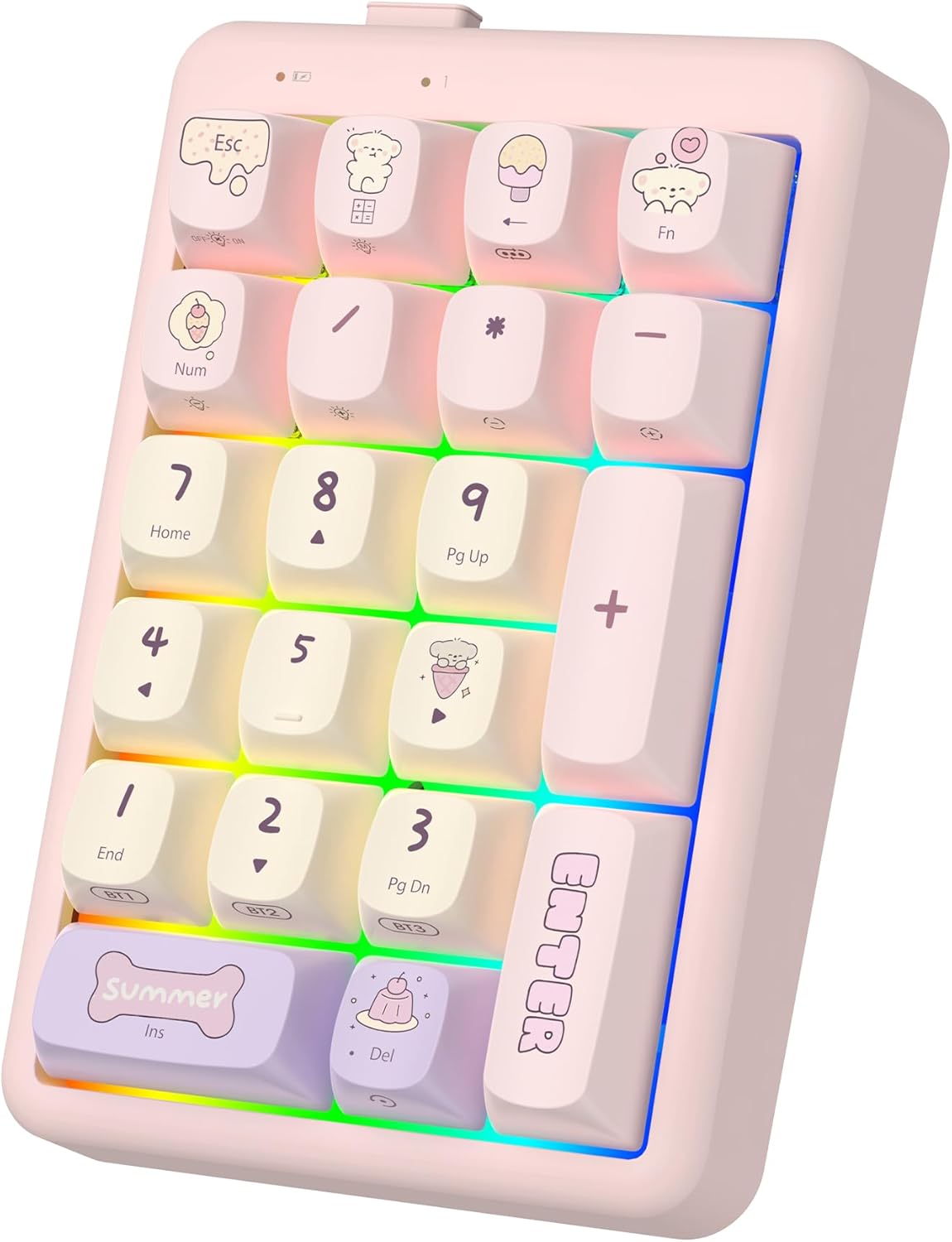 NumberPad,21Keys HotSwappable Numpad,Bluetooth5.0/2.4G/Type-C Wireless Numeric Keypad,Rechargeable Number keypad,RGB Gasket Structure Mechanical Keyboard with PBT Keycap for PC Laptop Notebook
