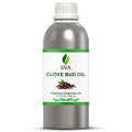 SVA Clove Bud Essential Oil – 32 Fl Oz – 100% Natural Clove Bud Oil by SVAORGANICS