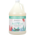 Ginger Lily Farms Botanicals Nourishing Body Wash, Eucalyptus Tranquility by GingerLilyFarms