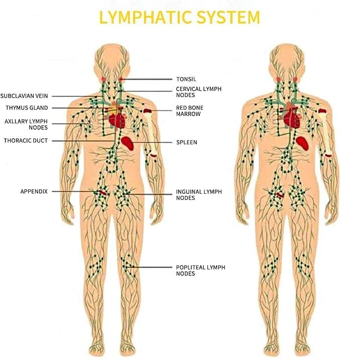 Ginger Oil, Ginger Massage Oil for Lymphatic Drainage, Natural Body Oil for Skin - Image 7