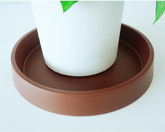 4 Pack Plant Saucer Tray for Ceramic Plastic Pots, 6 inch Plant Saucers for - Image 5