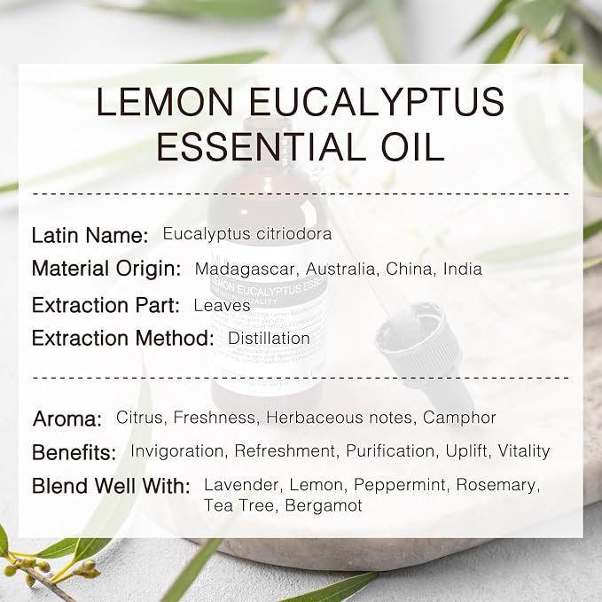 Lemon Eucalyptus Essential Oil 100ML, 100% Pure Lemon Eucalyptus Oil - Image 3