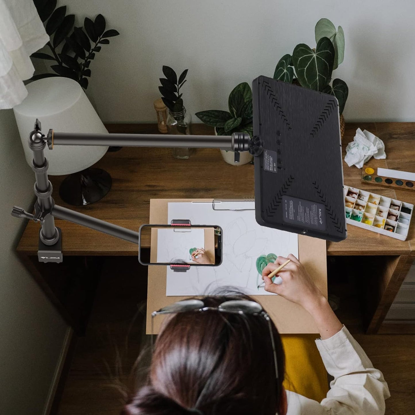 PICTRON LS11 Camera Mount Desk Stand with Auxiliary Holding Arm, Flexible Overhead Camera Webcam Table C-Clamp Multi Stand for Photography Videography Live Stream