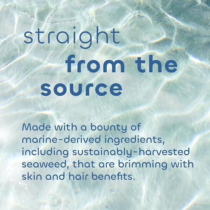 Seaweed Bath Co. Bubbling Muscle Soak, Tea Tree Lavender Scent, 12 Ounce - Image 4