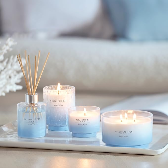 Chesapeake Bay, 8oz Serene Waters Scented Candle, Mood Evoking Fragrance - Image 8