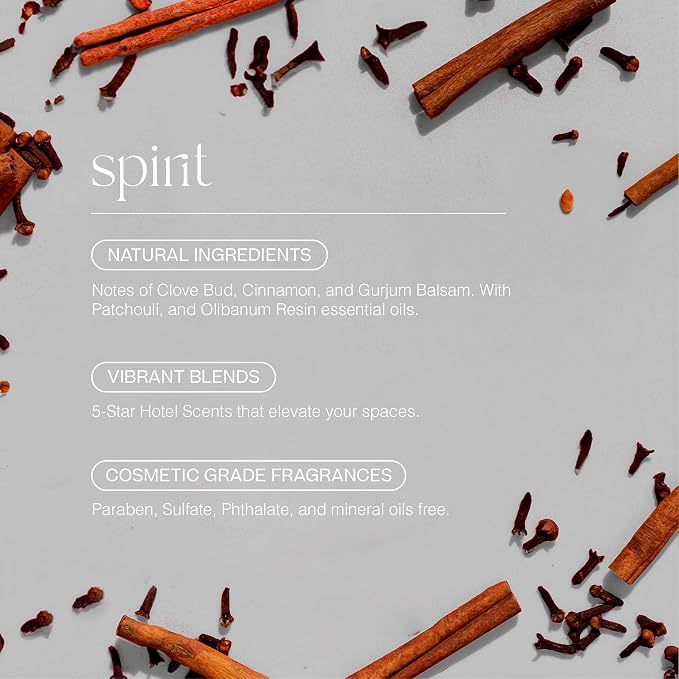 Doctor Aromas Premium Air & Room Spray – Clove & Cinnamon Long-Lasting Fragrance - Image 2