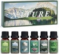 SALUBRITO Nature Fragrance Oils Set, Essential Oils Set by Salubrito