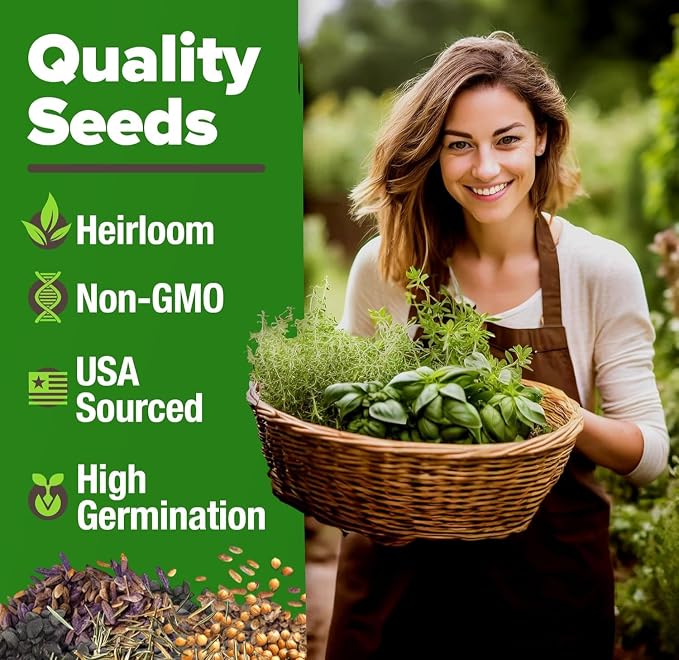 HOME GROWN Premium Herb Seeds Variety Pack - Image 2
