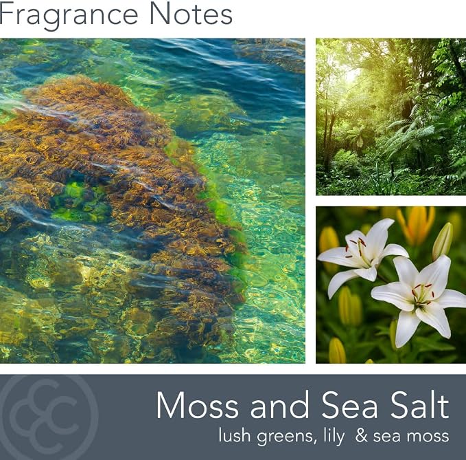 Carolina Moss & Sea Salt Scented Candle, 16 oz Wellness Relaxing Aromatherapy - Image 2