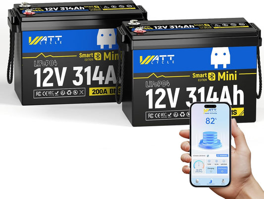 12V 314Ah Lithium LiFePO4 Battery Mini with Bluetooth 5.0 BMS 200A, 4.01kWh Energy, Upgraded Aluminum Cooling Fins & Braided Copper Wires, upporting devices over 2000W (2 PCAK)