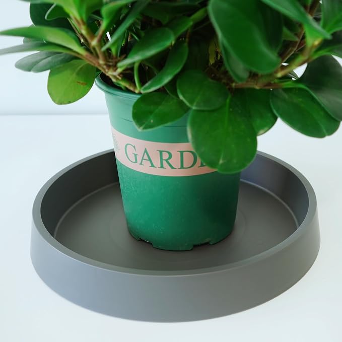 Plant Saucer Tray for Ceramic Plastic Pots, 16 inch Plant Saucers for Indoors - Image 4