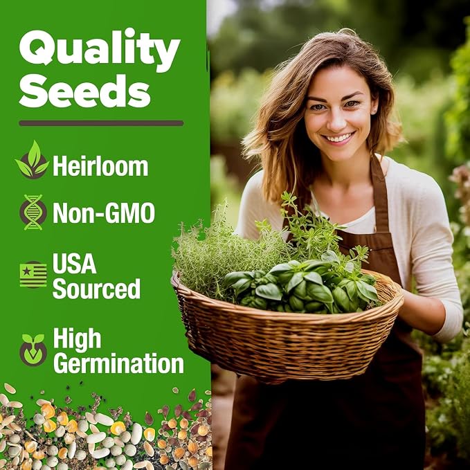 HOME GROWN 6 Herb Seeds for Planting 2, 650+ Non-GMO Heirloom Seeds | Extra - Image 2