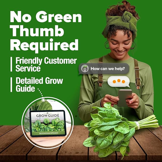 HOME GROWN Bloomsdale Spinach Seeds 353+ Non GMO Heirloom Seeds - Image 8