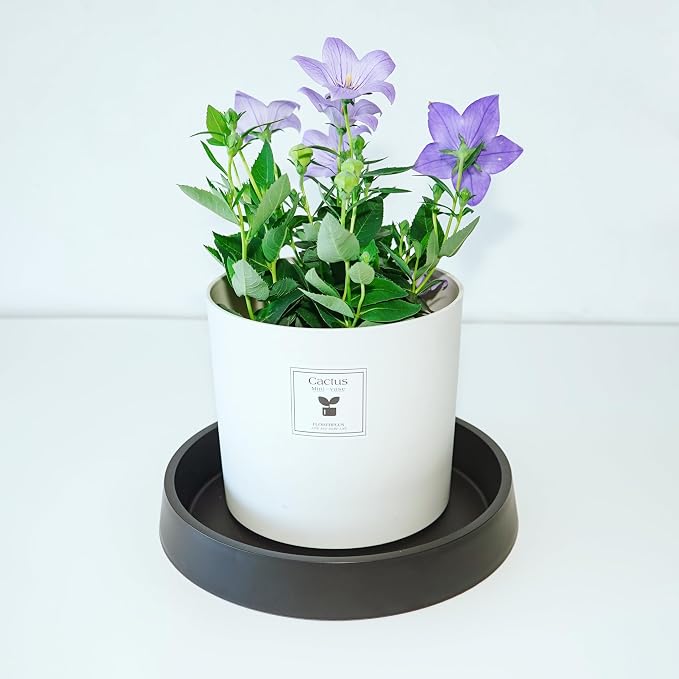 Plant Saucer Tray for Ceramic Plastic Pots, 14 inch Plant Saucers for Indoors - Image 3