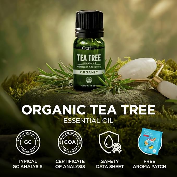 Gya Labs USDA Organic Tea Tree Essential Oil - Image 8