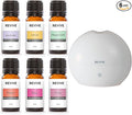 Basics Kit with Halo Diffuser by Revive Essential Oils by REVIVEEssentialOils