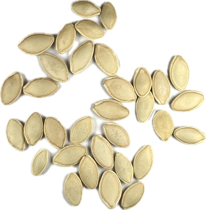 Seed Needs Black Beauty Squash Seeds - Image 7