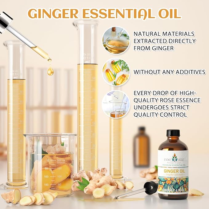 EVOKE OCCU Ginger Oil for Mental Clarity, Relieve Soreness, Hair Nourishment - Image 6