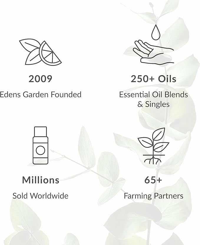 Edens Garden Ravintsara Essential Oil- 100% Pure Premium Grade, Therapeutic - Image 6