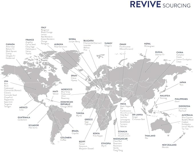Vanilla by Revive Essential Oils - Image 4