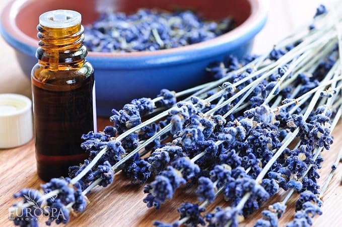 EuroSpa Aromatics Pure Eucalyptus Oil ShowerMist and Steam Room Spray, - Image 3