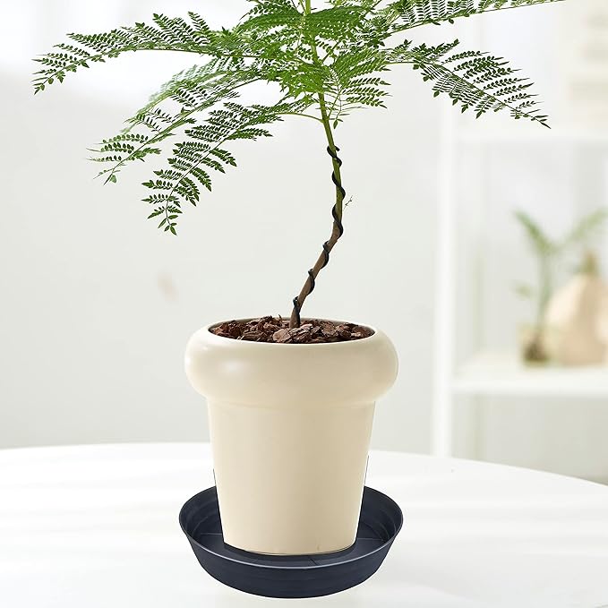 Plant Saucers 10 12 14 16 18 20 25 Inch, 4 Pack of Plastic Plant saucers - Image 4