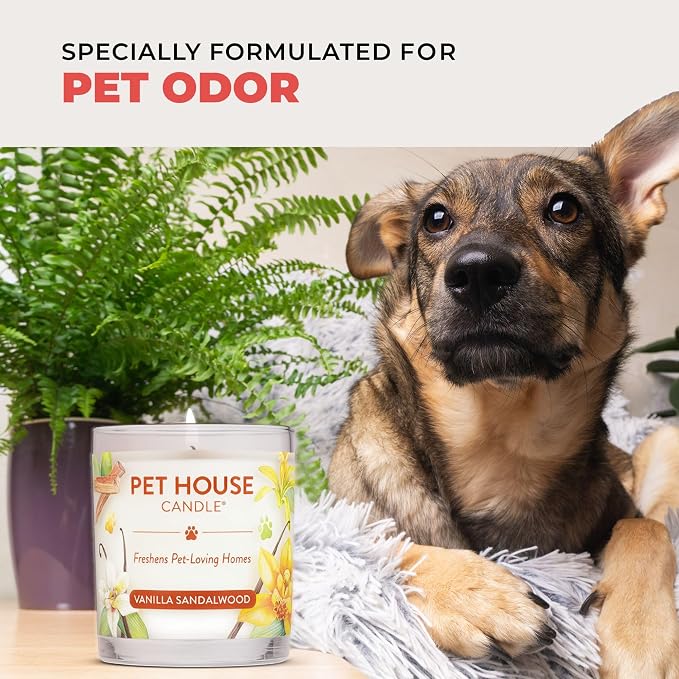 One Fur All Pet House Candle Plant-Based/Soy - Image 6