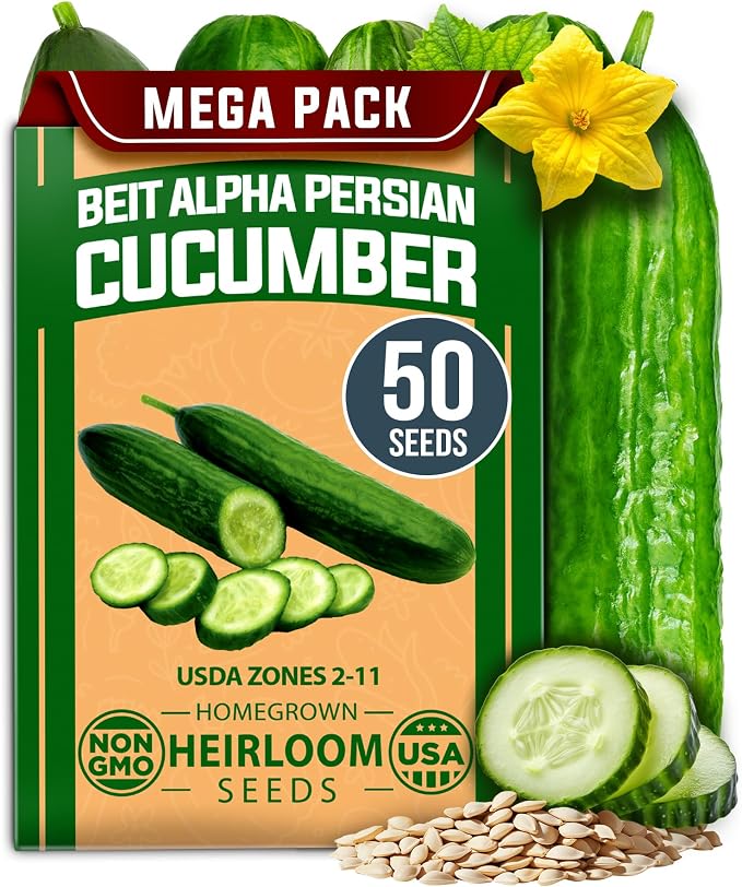 HOME GROWN Persian Cucumber Seeds 50+ Heirloom Non-GMO, Beit Alpha Variety by HOMEGROWN