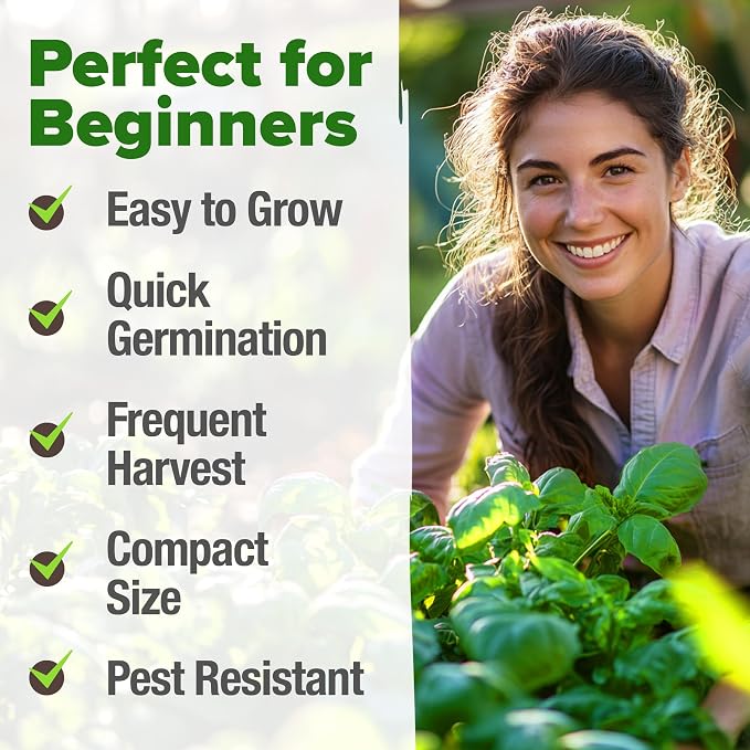 HOME GROWN Genovese Basil Seeds 2 Pack - Image 4