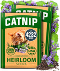 HOME GROWN Catnip Seeds Heirloom Herb 4232 Seeds by HOMEGROWN
