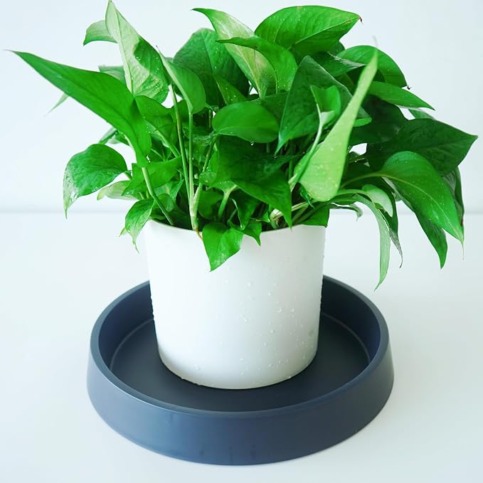 1 Pack Plant Saucer Tray for Ceramic Plastic Pots, 6 inch Plant Saucers for - Image 3