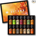 P&J Trading Fragrance Oil Autumn Set of 14 Fragrance Oils by PJTrading