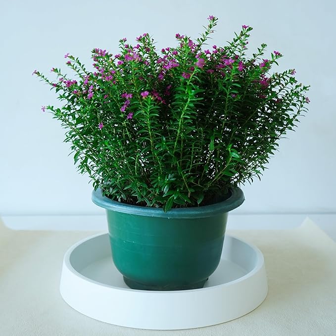 Plant Saucer Tray for Ceramic Plastic Pots, 14 inch Plant Saucers for Indoors - Image 5