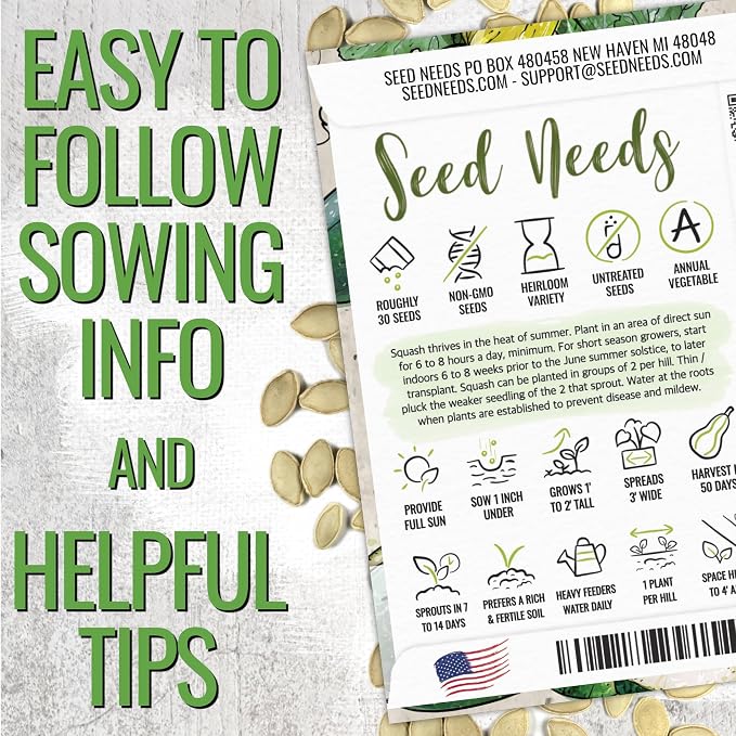Seed Needs Black Beauty Squash Seeds - Image 2